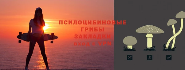 Альфа ПВП Гусев
