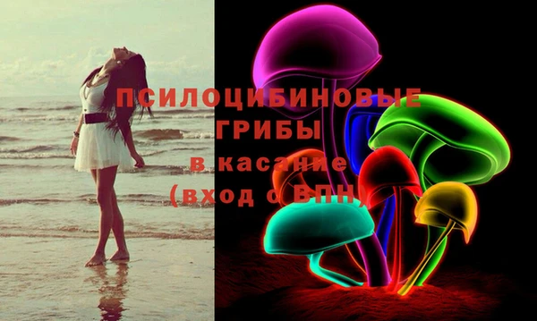 Альфа ПВП Гусев