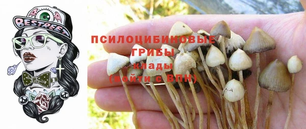 Альфа ПВП Гусев