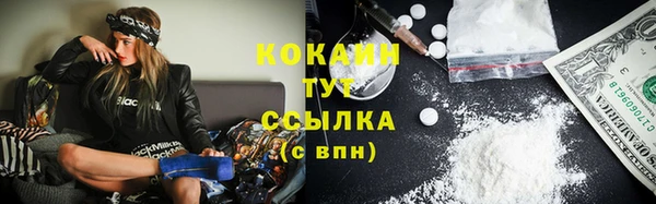 Альфа ПВП Гусев