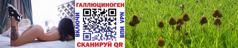 Купить закладки  Опочка  Галлюциногенные грибы прущие грибы 